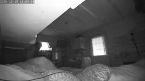 Caméra IP - Vereinigte Staaten von Amerika