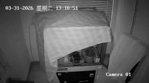 Caméra IP - Malaysia