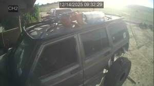 Caméra IP - United States of America