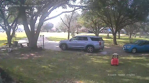 Caméra IP - United States of America