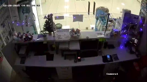 Caméra IP - Géorgie