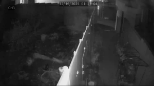 Caméra IP - South Korea