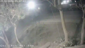 Caméra IP - Vietnam