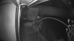 Caméra IP - Südkorea