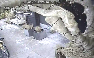 Caméra IP - Netherlands