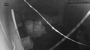 Caméra IP - Estados Unidos