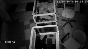 Caméra IP - Tunisie