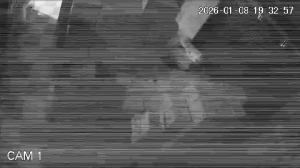 Caméra IP - Vietnam