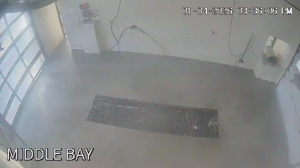 Caméra IP - United States of America