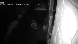 Caméra IP - Nueva Zelanda