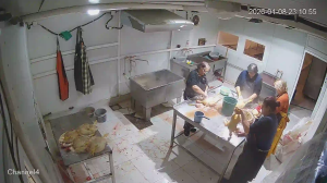 Caméra IP - Géorgie