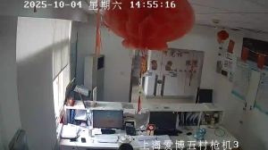 Caméra IP - China