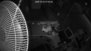 Caméra IP - Südkorea