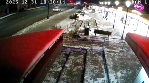 Caméra IP - Lituanie