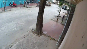 Caméra IP - Vietnam