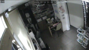 Caméra IP - South Korea