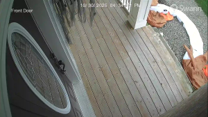 Caméra IP - Canadá