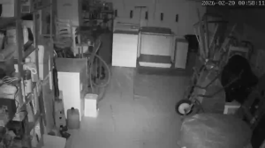 Caméra IP - Curaçao