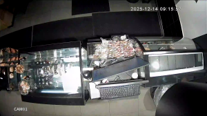 Caméra IP - Russian Federation