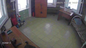 Caméra IP - Vue en direct