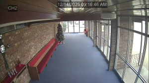 Caméra IP - Stati Uniti d'America