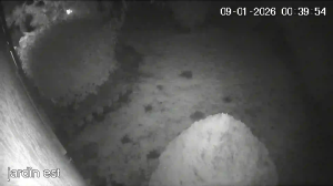 Caméra IP - Frankreich