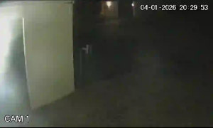 Caméra IP - Südafrika