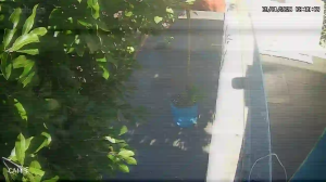 Caméra IP - Brésil