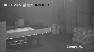 Caméra IP - Cina
