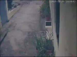 Caméra IP - Portugal