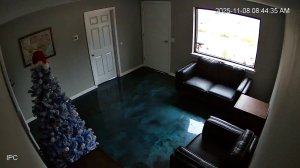 Caméra IP - United States of America