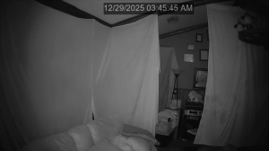 Caméra IP - United States of America