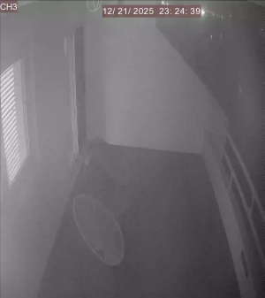 Caméra IP - Corée du Sud