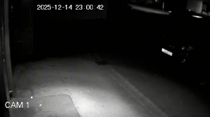 Caméra IP - Deutschland