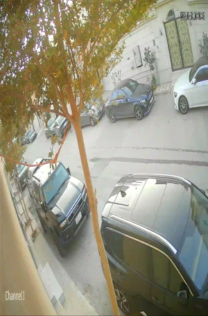 Caméra IP - Saudi Arabia