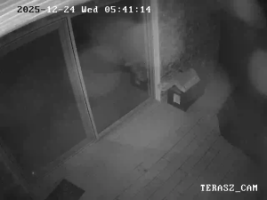 Caméra IP - Hungría