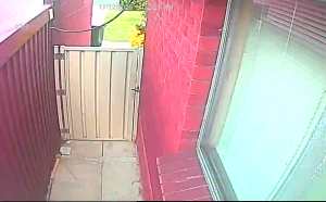 Caméra IP - Australia