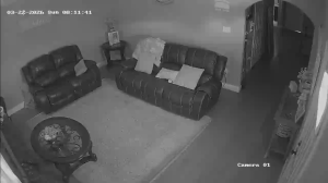 Caméra IP - United States of America