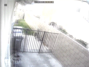 Caméra IP - United States of America