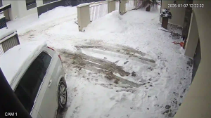 Caméra IP - Lituanie