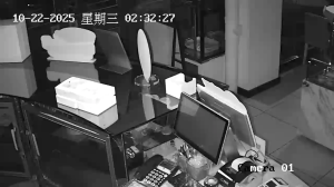 Caméra IP - Cina