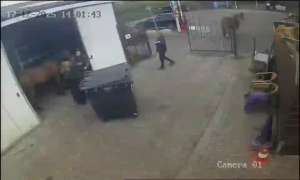 Caméra IP - Paesi Bassi