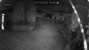 Caméra IP - Italy