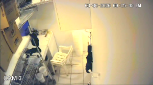 Caméra IP - United States of America