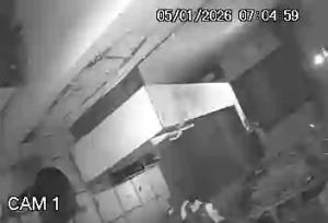 Caméra IP - Vue en direct