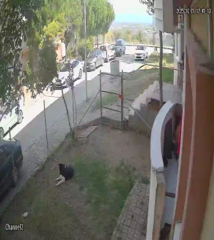 Caméra IP - Türkiye