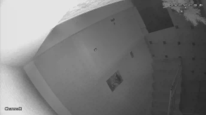 Caméra IP - Russian Federation