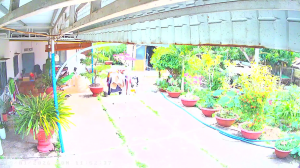 Caméra IP - Vietnam