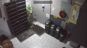 Caméra IP - Corée du Sud