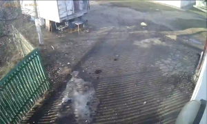 Caméra IP - Belarus